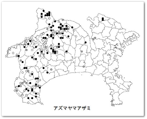 《 雅羅・/・〝里緑地の花  ...