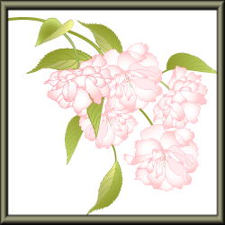 “再び・ヴリーツェンの桜！！”...