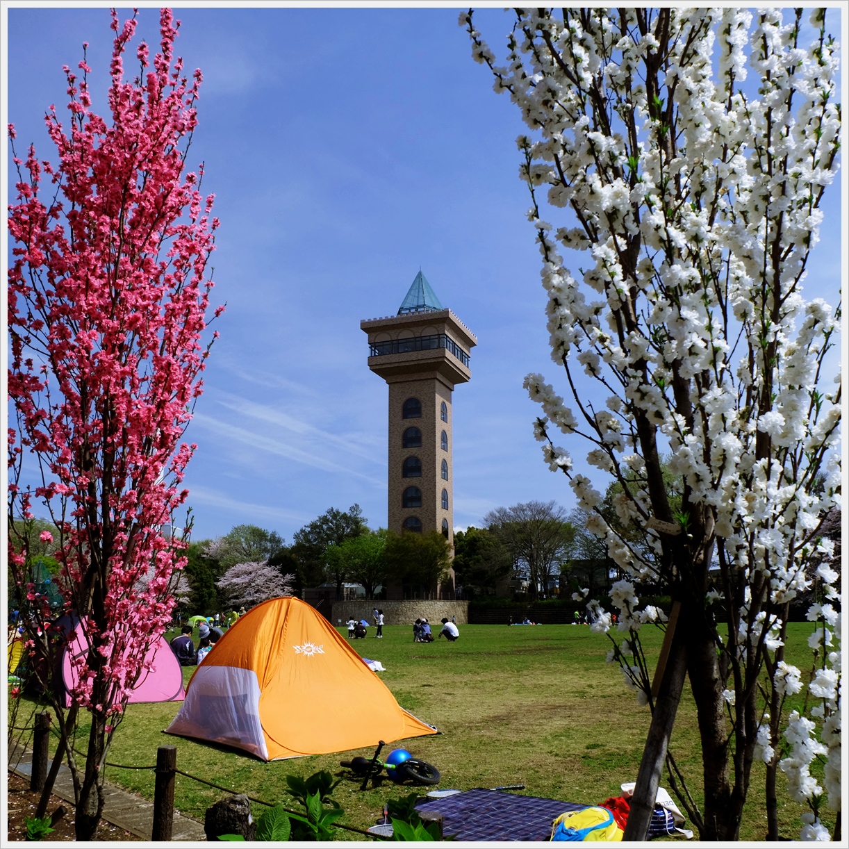 春 香る公園 襍観 点描 １６ 2 緑 海気浴 襍にbloguru Bloguru