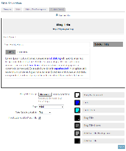 The Custom Skin Page Editor