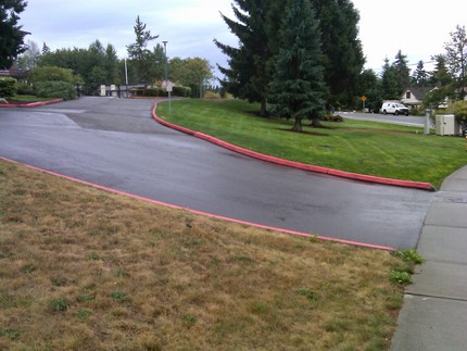 Lawn is greener on the other ...