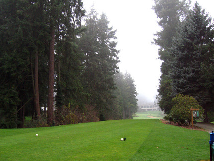 Very Cold Day for Golf