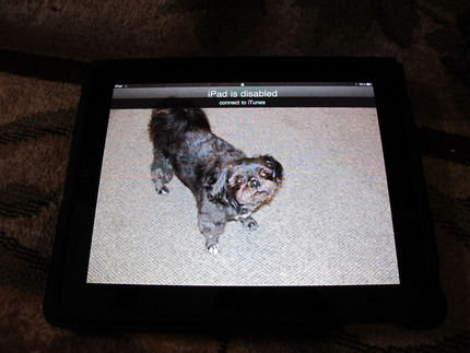 iPad is Disabled