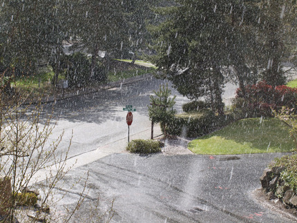 Snow is Coming
