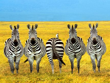 Be Different