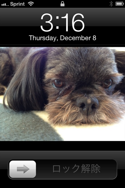 Capturing the iPhone screen