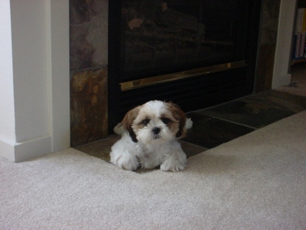 My First Digital Photograph