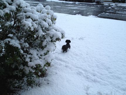 Finally, there is a snow on th...