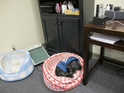 Sunday but I am in the office