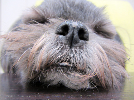 I am sleepy!!!