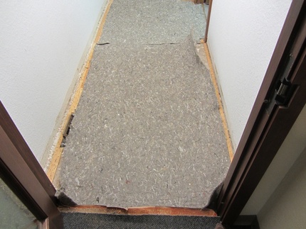New Carpets at R&amp;D Build...