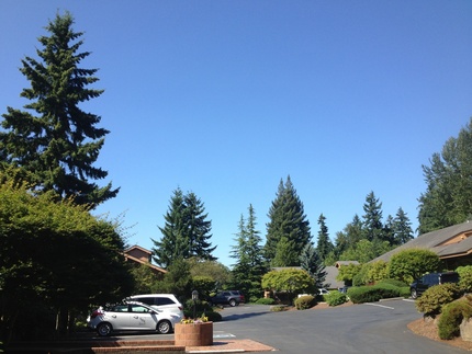 Summer is Here ... I guess