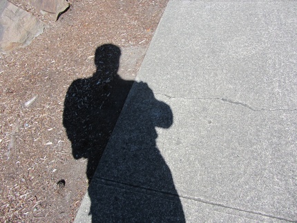 Another Sunny Day