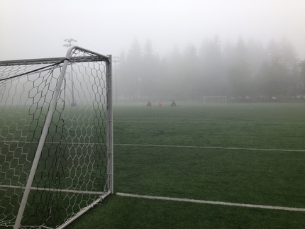 Foggy Morning