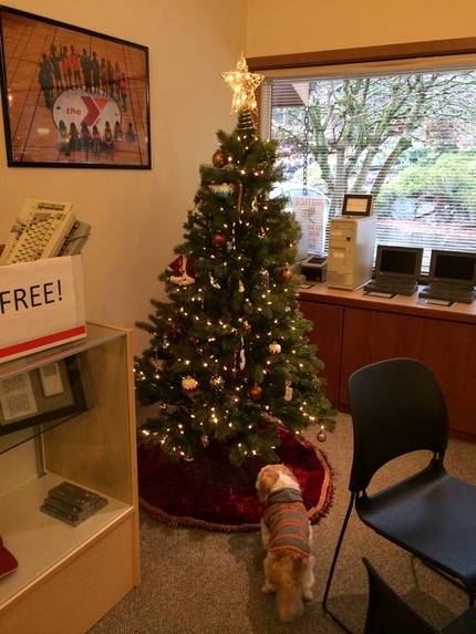 Christmas Tree at PSPINC