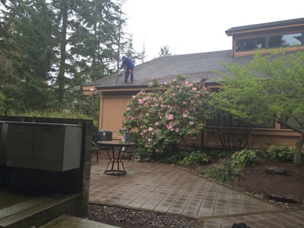 Window and Roof Cleaning