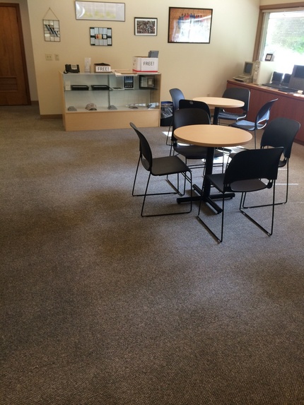 Professional Carpet Cleaning