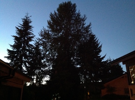 It gets dark earlier...