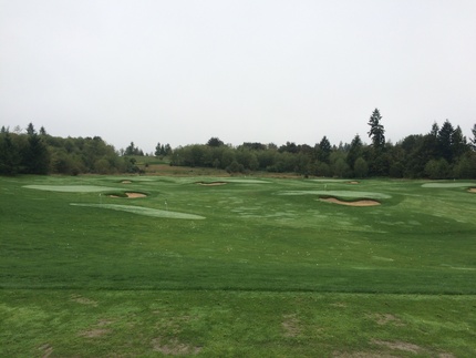 Golf Today