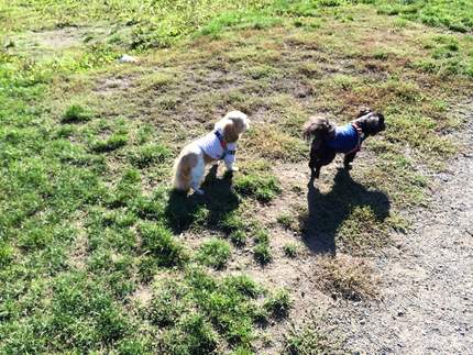 Sunday Morning Walk
