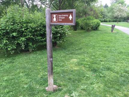 Sunday Morning Walk