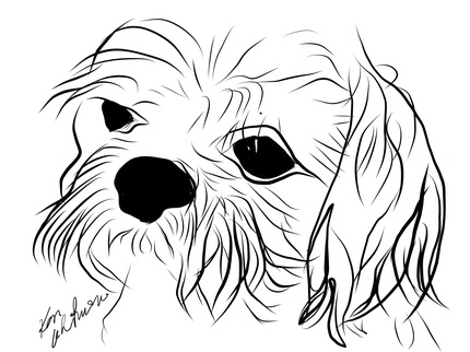 My First Drawing