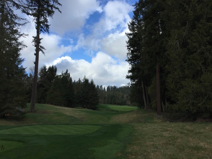 Golf Today