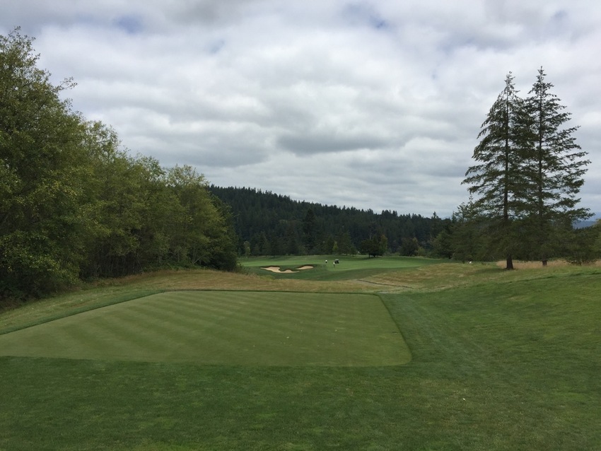 Golf Today