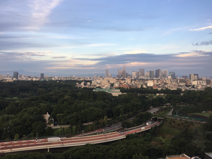 Last Day in Tokyo