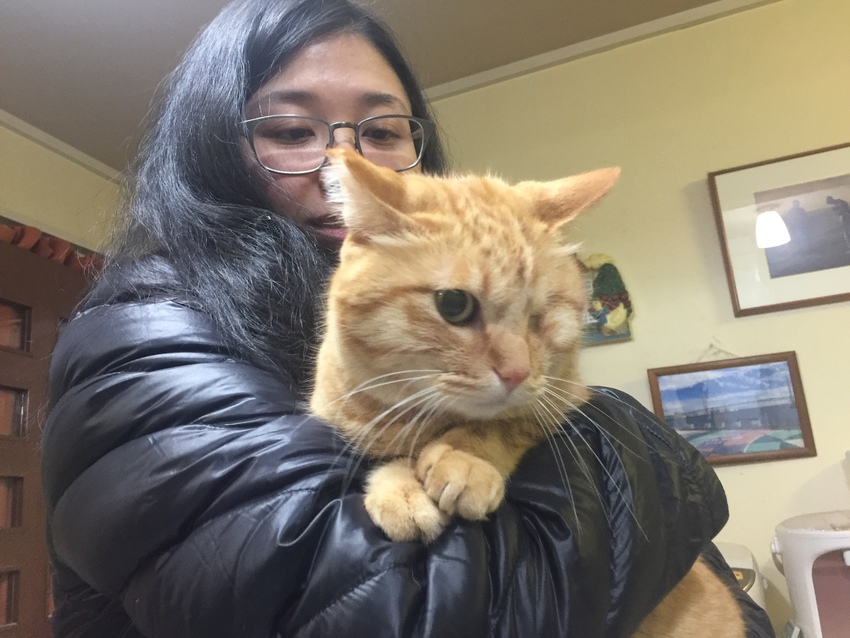 Meeting My Daughter in Japan