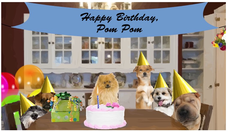Pompom got a card!!!