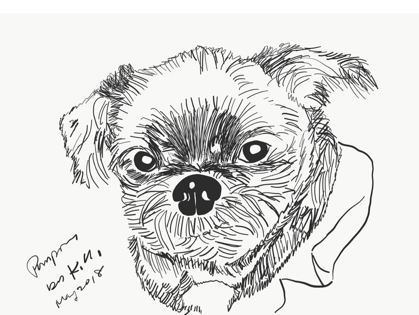Quick Drawing