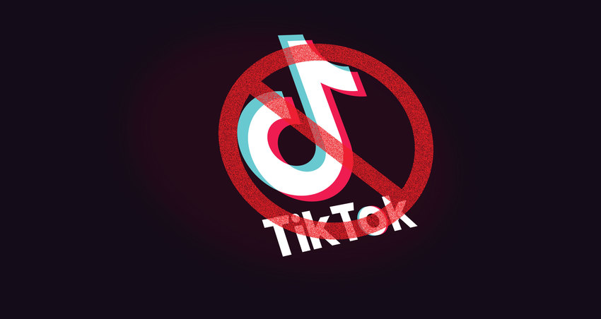 Why is TikTok will be banned ...