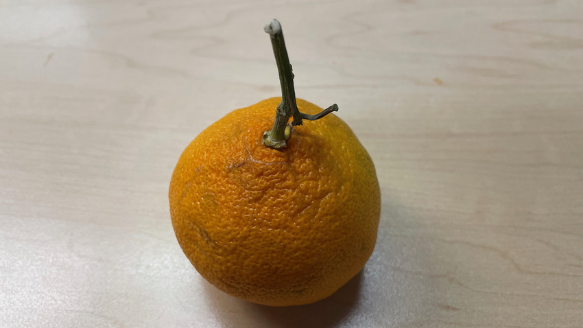 Eating Orange!