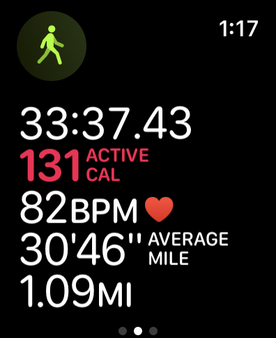 My One-Mile-Walk after Lunch...