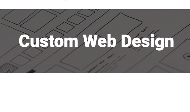 PSPINC Custom web Design