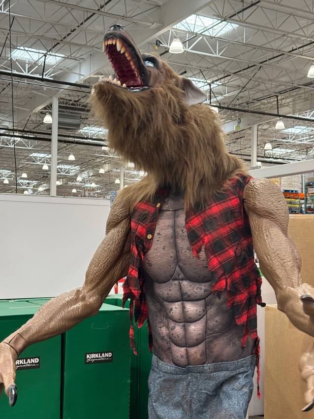 Halloween Already?