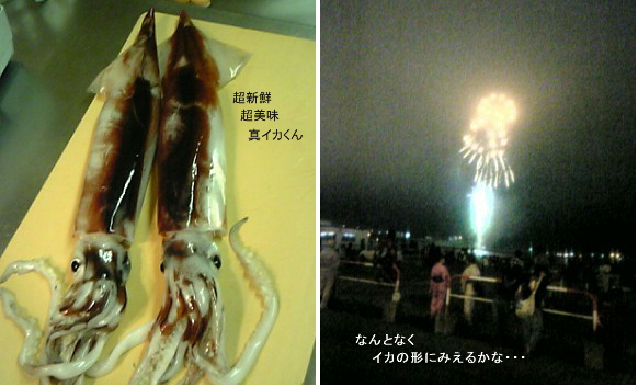 イカ　いか三昧　函館港祭り