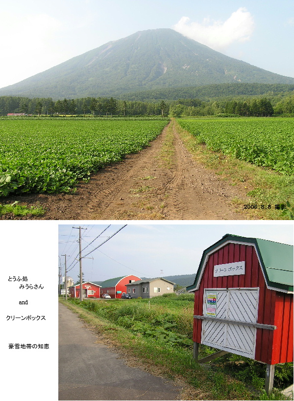 羊蹄山　夏の顔
