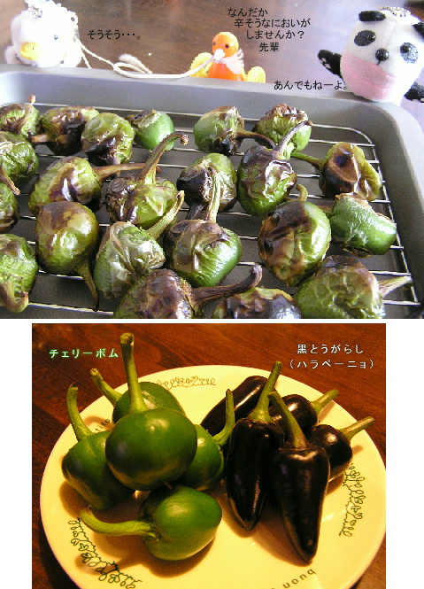 今年の夏の壊れもの・・・