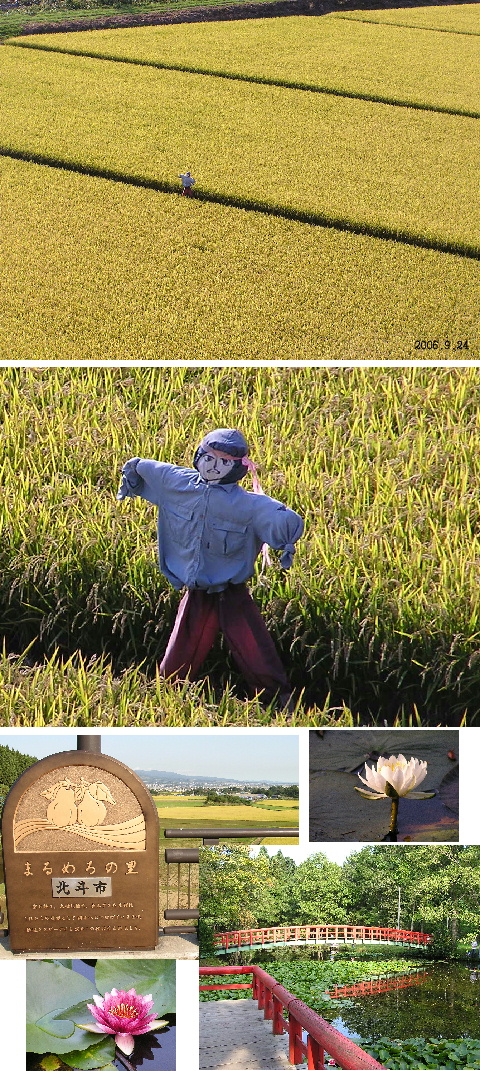ツボだった“ケイコとマナブ”