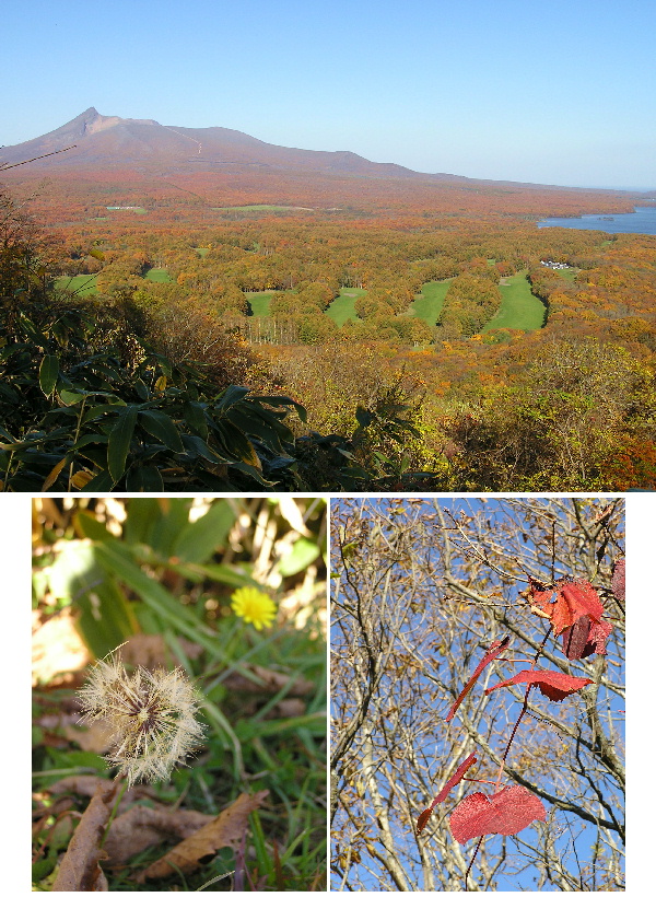 紅葉便り　大沼『日暮山』からの...