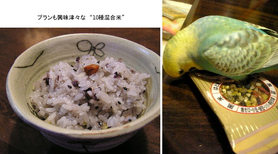 『たべごろマンマ』に函館登場