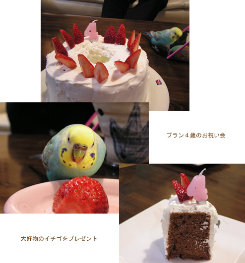 ４回目のお誕生日　