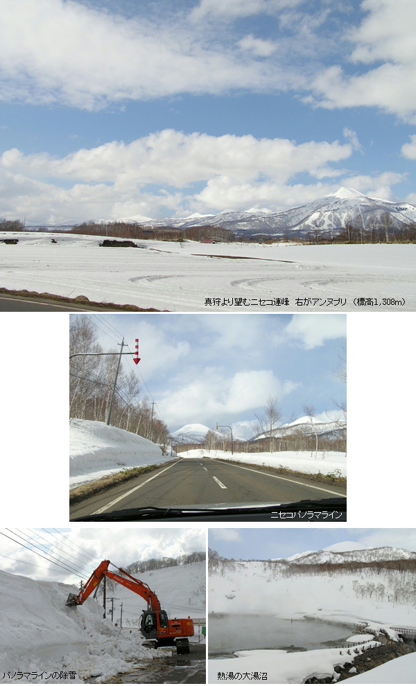 ニセコの春　