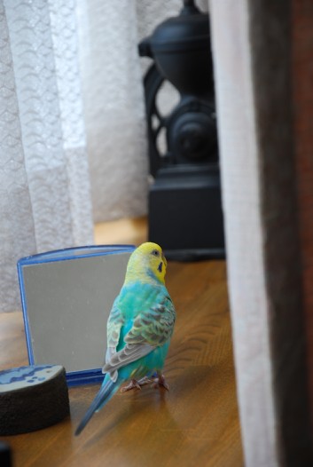 だってなつやすみなんだもん　“...