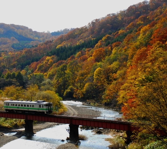 待ち合わせた紅葉風景