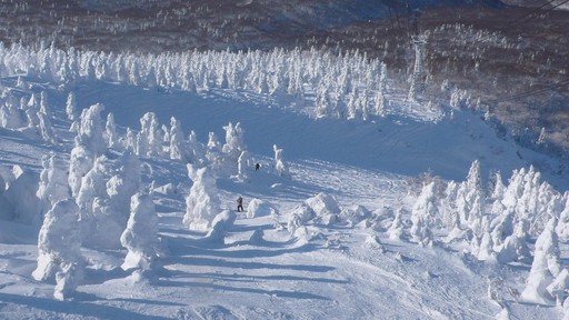 八甲田山で見た樹氷たち
