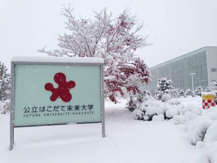 白い雪の中の赤