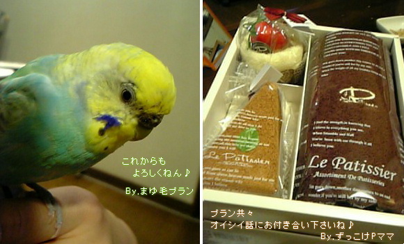BLOGURU１周年は、あっち...
